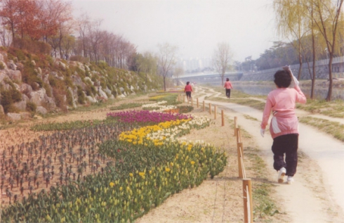 원천리천 꽃길 조성