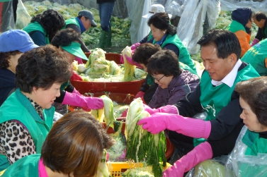 사랑의 김장 담가주기