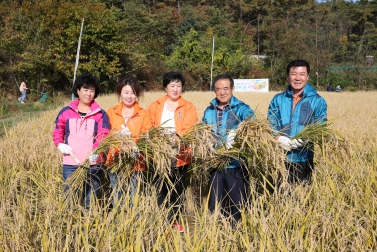 친환경 경작논 체험장 벼베기행사