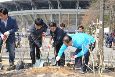 수원시 꽃 시화 진달래 식목행사