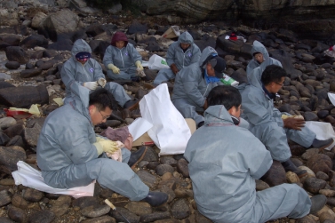 태안앞바다 기름제거 자원봉사