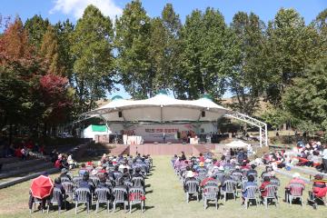 20231021 연무 감골축제