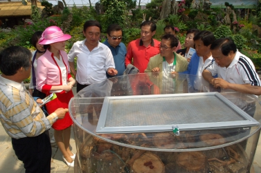 함평나비축제 벤치마킹