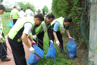 수원천 정화활동