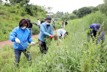 20210525 민관합동 생태계교란 식물 제거