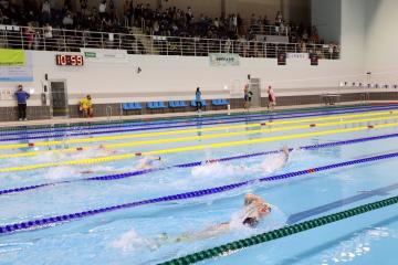 20221211 제33회 수원특례시장배 수영대회