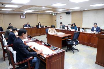 20251017 도시미래위원회 조례안 등 안건심사
