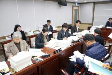 20241205 기획경제위원회 예산안 등 예비심사