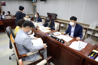 20210610 2020 회계연도 결산 및 예비비 지출 승인안 예비심사