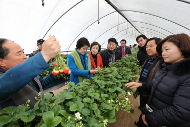 기획경제위원회 현장방문