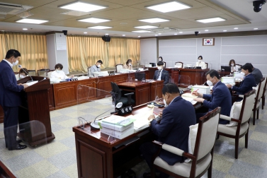 20210610 2020 회계연도 결산 및 예비비 지출 승인안 예비심사