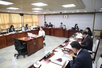 20241209 보건복지위원회 조례안 등 안건심사