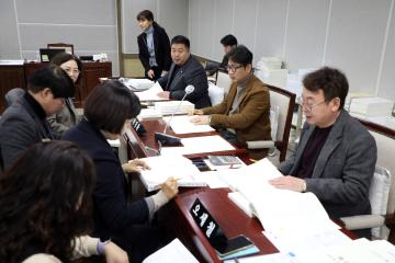 20241203 문화체육위원회 예산안 등 예비심사