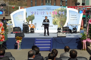 팔달문 시장 능수벚꽃 축제