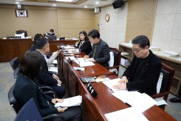 20241203 도시미래위원회 예산안 등 예비심사