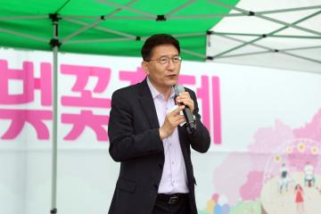 20240420 매여울 벚꽃축제