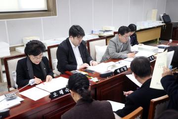 20241205 문화체육위원회 예산안 등 예비심사