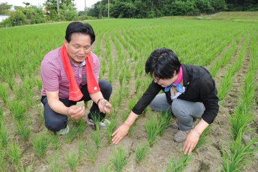 가뭄피해지역 실태파악