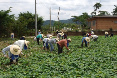 수원시의회의원 수해지역 방문 봉사활동