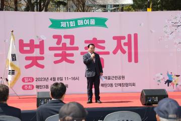 20230408 제1회 매여울 벚꽃 축제