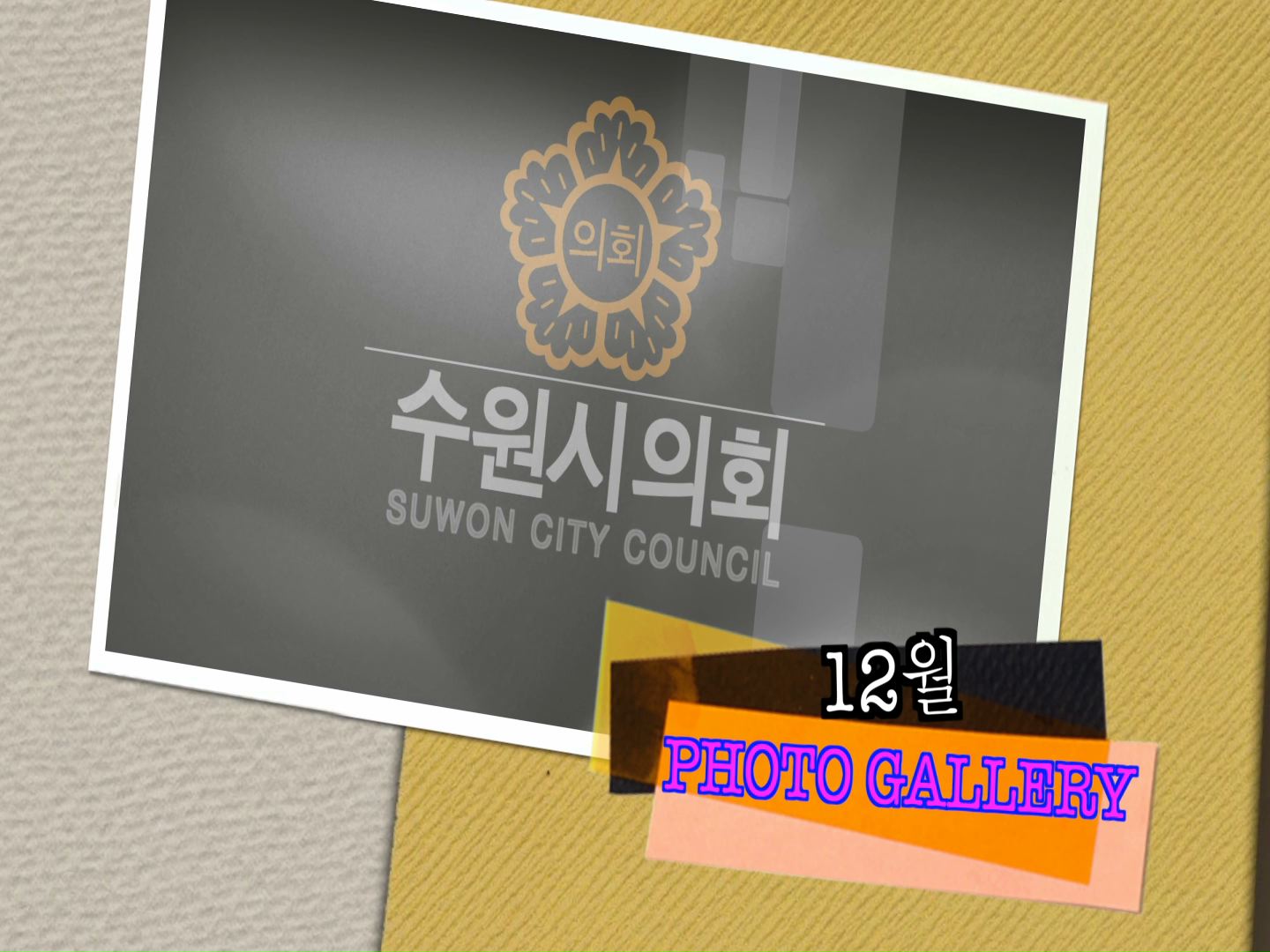 12월 의정활동 