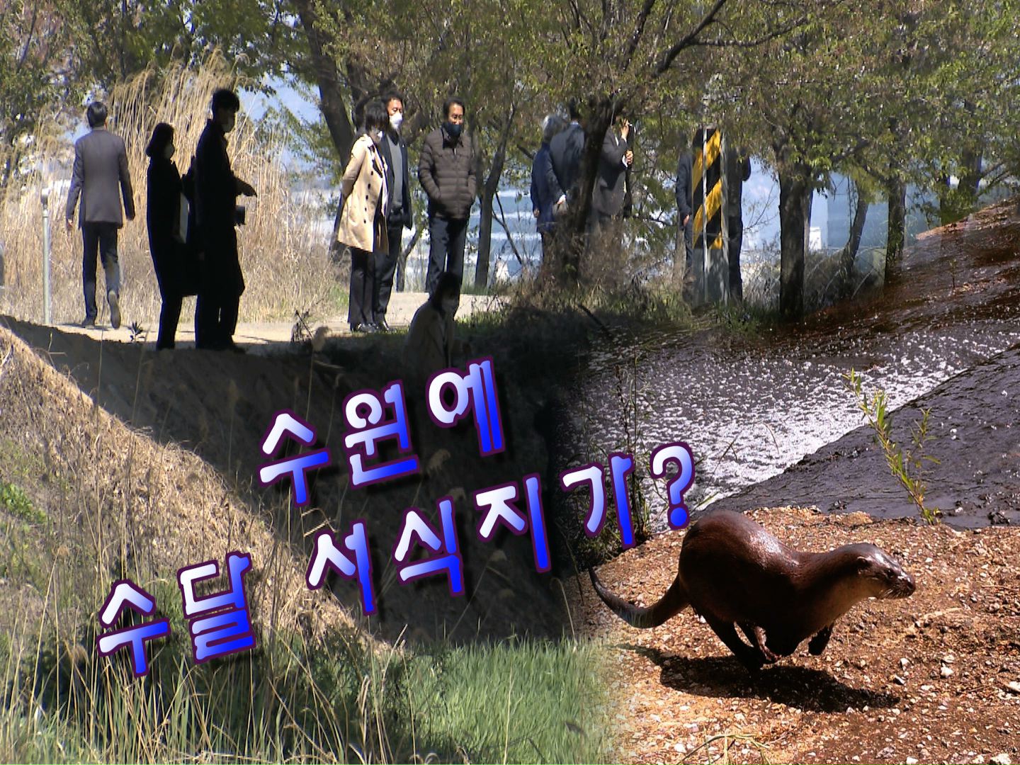 도시환경위원회 현장방문