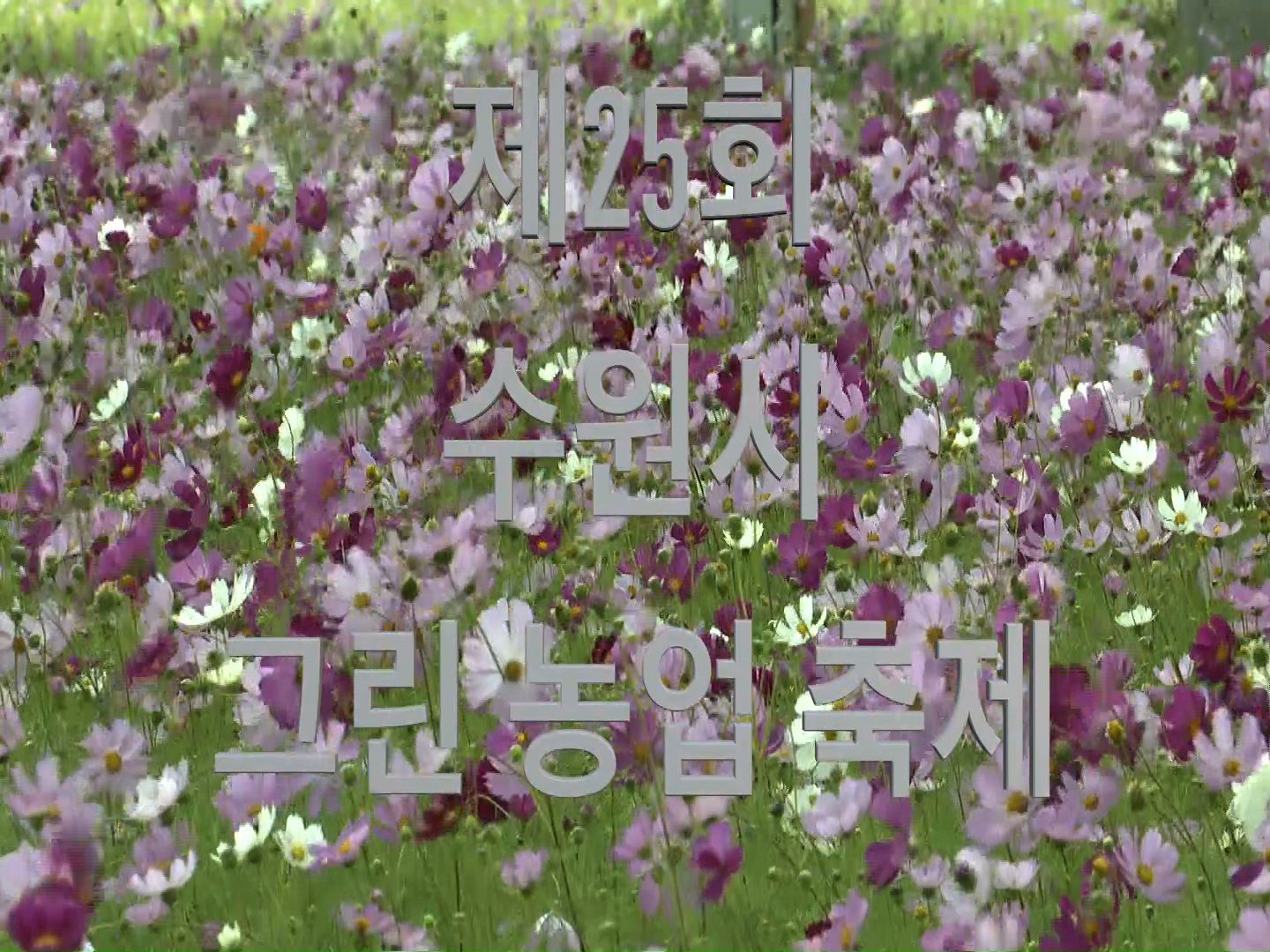 제25회 수원시 그린농업 축제