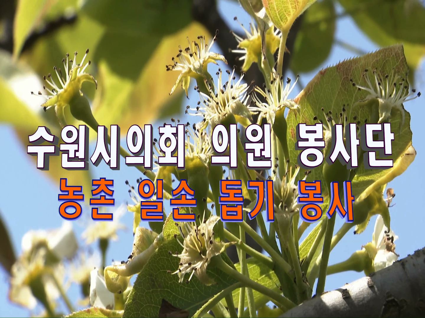 수원시의회 의원 봉사단 봉사활동