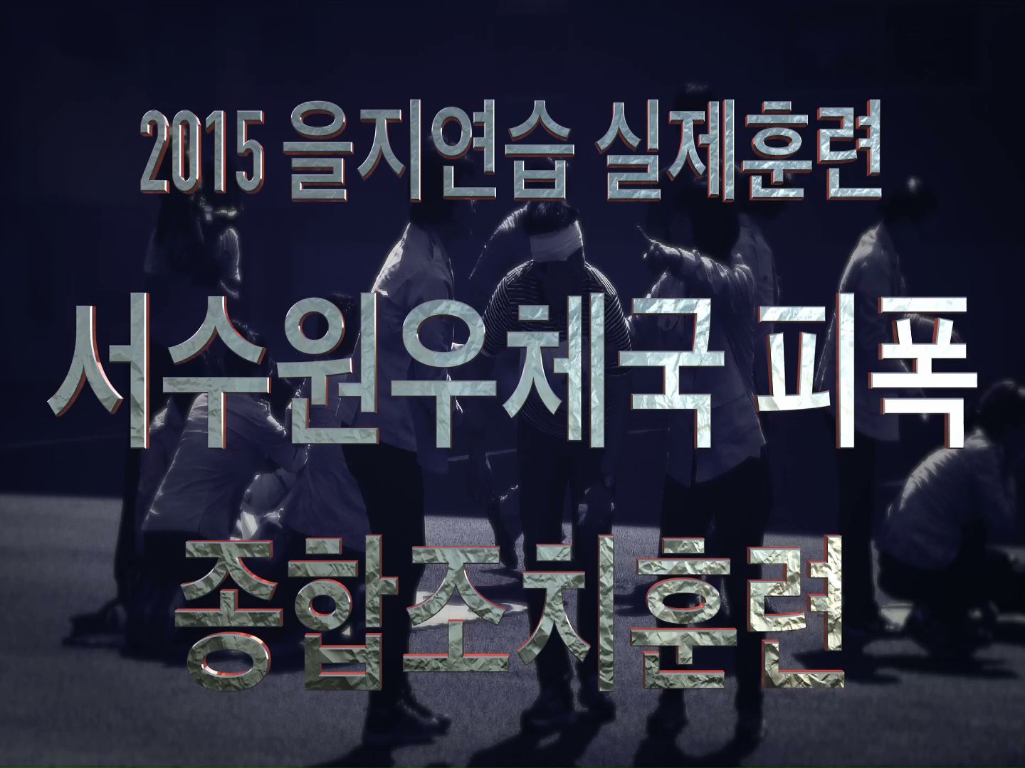 2015 을지연습 실제훈련 참관