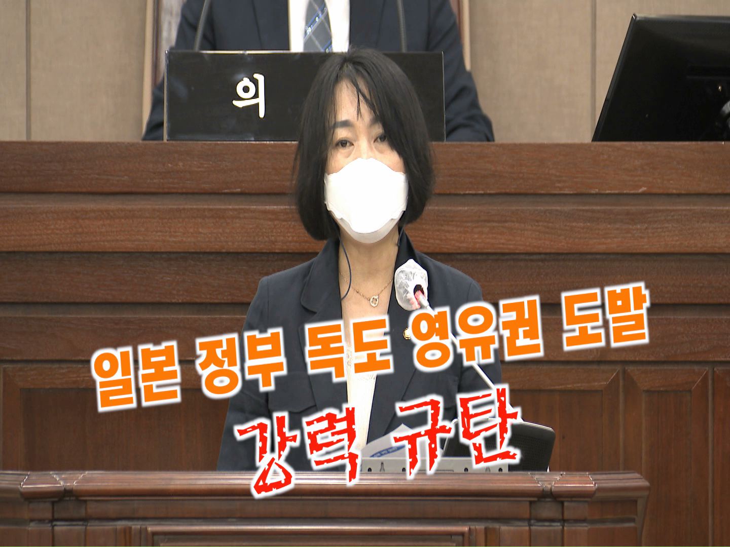 이병숙 의원 \"일본 정부의 독도 영유권 도발 규탄 결의안\" 대표발의