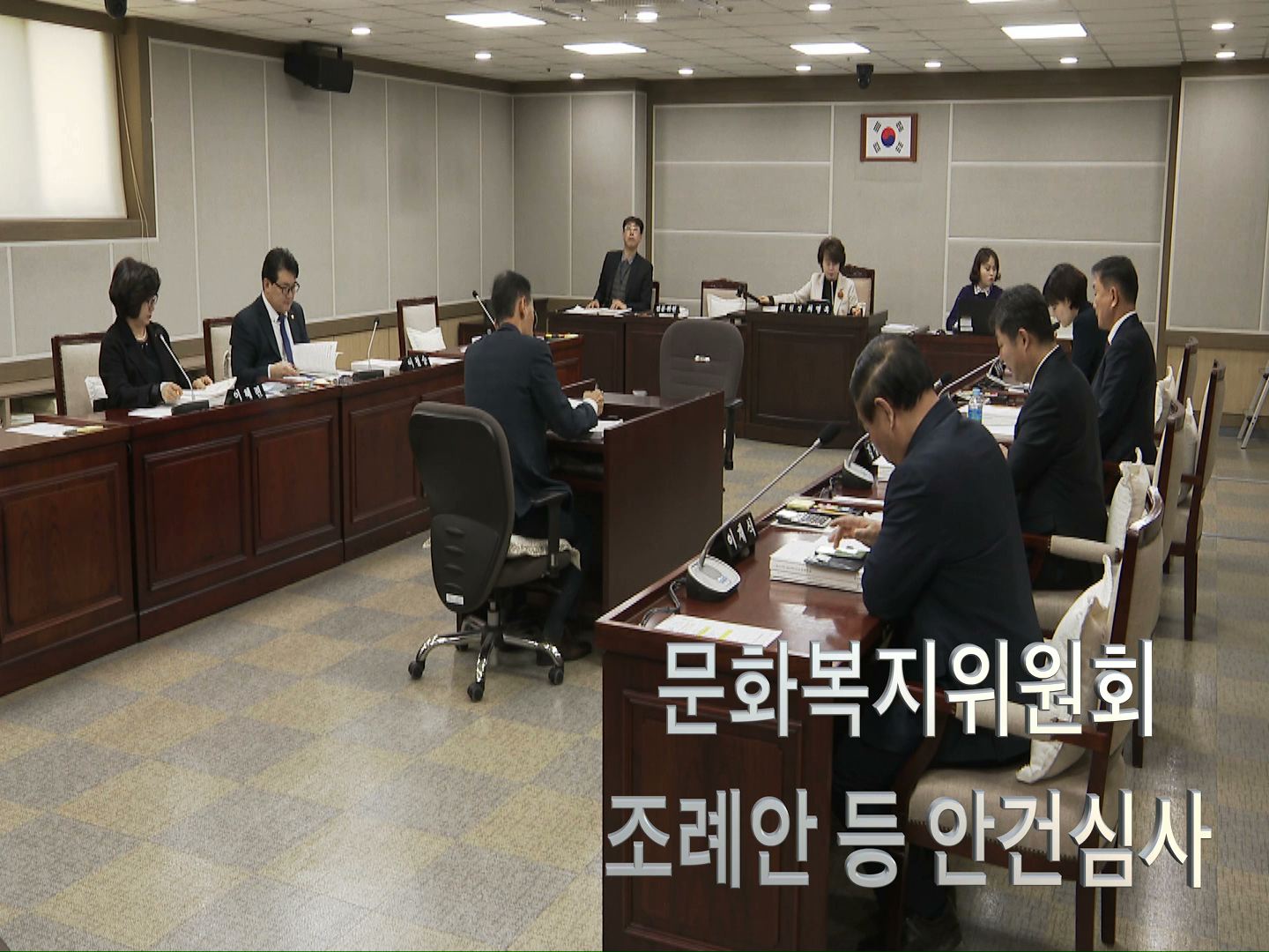 문화복지위원회 조레안 심사