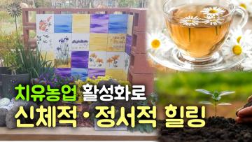 수원시 치유농업 활성화 방안 연구회 중간보고회