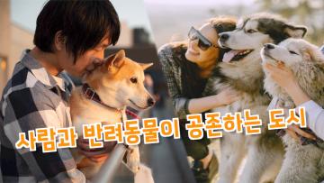 반려동물 친화 도시 공존 거버넌스 구축 연구회 착수보고회