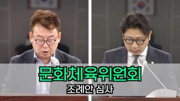 문화체육위원회 조례안 등 안건심사