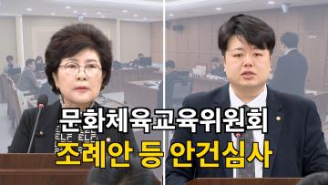 문화체육교육위원회 조례안 등 안건심사